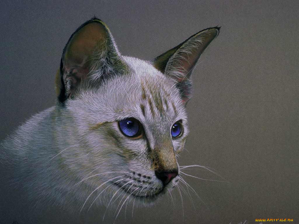 , 